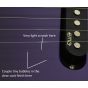 ESP LTD Alexi Laiho Ripped Pinstripes Purple Fade Satin B-Stock 0700, LALEXIRIPPED