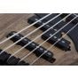 Schecter Model-T 5 String Exotic Bass Black Limba, 2833