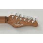 Schecter PT Van Nuys Guitar Gloss Natural Ash, 700