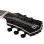 Wylde Thorax Transparent Black Burst Guitar, 4548