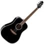 Takamine FT341 Limited Dreadnought Acoustic Guitar, FT341