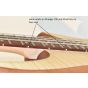 Schecter Stiletto Custom-4 Bass Natural Satin B-Stock 0808, 2531