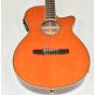 Ibanez AEG10NII Classical Acoustic Electric Guitar Tangerine B-Stock 0242, AEG10NIITNG.B 0677