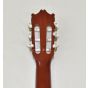 Ibanez IJC30 JAMPACK Nylon Acoustic Guitar Package in Amber High Gloss Finish B-Stock 8293, IJC30.B 3415