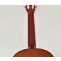 Ibanez IJC30 JAMPACK Nylon Acoustic Guitar Package in Amber High Gloss Finish B-Stock 8293, IJC30.B 3415