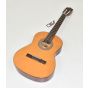 Ibanez IJC30 JAMPACK Nylon Acoustic Guitar Package in Amber High Gloss Finish B-Stock 6308, IJC30.B 6308
