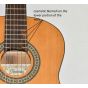 Ibanez IJC30 JAMPACK Nylon Acoustic Guitar Package in Amber High Gloss Finish B-Stock 6308, IJC30.B 6308
