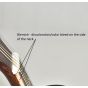 Ibanez AW535CE-NT Artwood Series Acoustic Electric Guitar in Natural High Gloss Finish B-Stock 5960, AW535CENT.B 6306