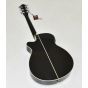 Ibanez AEG10NII Classical Acoustic Electric Guitar Black B-Stock 0136, AEG10NIITNG.B 0605