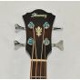 Ibanez AEB10E-DVS Artwood Series Acoustic Electric Bass in Dark Violin Sunburst High Gloss Finish 0520, AEB10EDVS.B