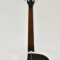 Ibanez AEB10E-DVS Artwood Series Acoustic Electric Bass in Dark Violin Sunburst High Gloss Finish 0520, AEB10EDVS.B