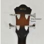 Ibanez AEB10E-DVS Artwood Series Acoustic Electric Bass in Dark Violin Sunburst High Gloss Finish 9661, AEB10EDVS.B