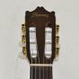 Ibanez GA6CE Classical Electric Acoustic Guitar  B-Stock 0068, GA6CE