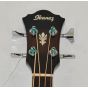 Ibanez AEB10E-DVS Artwood Series Acoustic Electric Bass in Dark Violin Sunburst High Gloss Finish 5724, AEB10EDVS.B