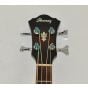 Ibanez AEB10E-DVS Artwood Series Acoustic Electric Bass in Dark Violin Sunburst High Gloss Finish 9671, AEB10EDVS.B