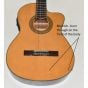 Ibanez GA6CE Classical Electric Acoustic Guitar  B-Stock 7788, GA6CE