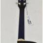 Ibanez PF15ECEWC-TBS PF Series Acoustic Guitar in Transparent Blue Sunburst High Gloss Finish 2222, PF15ECEWCTBS.B 0573