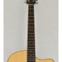 Ibanez PF15ECEWC-NT PF Series Acoustic Guitar in Natural High Gloss Finish 2147, PF15ECEWCNT.B 2029