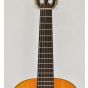 Ibanez GA1 Classical Acoustic Guitar  B-Stock 0419