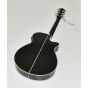 Ibanez AEG10LIIBK Classical Acoustic Electric Guitar Black B-Stock 0067