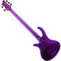 Schecter The Freeze Sicle 5 String Electric Bass in Purple, 2298