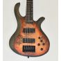 Schecter Riot-5 Electric Bass Satin Inferno Burst B-Stock 1379, 1453