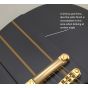 Schecter Dan Donegan Ultra Guitar Satin Black B Stock 0803, 261