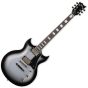 ESP LTD Royal Shiva Guitar Silver Sunburst B-Stock, LROYALSHIVASSB