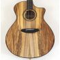 Breedlove Oregon Dreadnought Concerto CE Myrtlewood Special Edition Guitar, ORCO01CEMYMY-SE