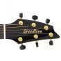 Breedlove Oregon Concert CE Myrtlewood Special Edition Guitar, ORCN01CEMYMY-SE