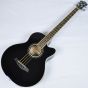 Ibanez AEB10E-BK Artwood Series Acoustic Electric Bass in Black High Gloss Finish, AEB10EBK.B