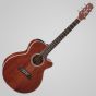 Takamine EF261S-AN Legacy Series Acoustic Guitar in Gloss Antique Stain Finish, TAKEF261SAN