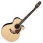 Takamine P7NC Pro Series 7 Acoustic Guitar in Natural Gloss Finish, TAKP7NC