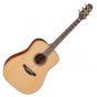 Takamine P3D Pro Series 3 Acoustic Guitar in Satin Finish, TAKP3D