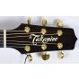 Takamine DMP500CE DC Engelmann Spruce Top Limited Edition Guitar, DMP500CE DC