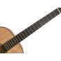 Takamine TLD-M2 Solid Spruce Top Figured Myrtle Back Limited Edition Guitar, TLDM2