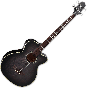 Takamine PB5 SBL Pro Series Acoustic Guitar in See Thru Black, TAKPB5SBL