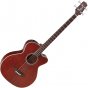 Takamine PB5 Acoustic Electric Bass Gloss Aged Natural Stain, TAKPB5ANS