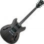 Ibanez Artcore AS53 Hollow Body Electric Guitar Transparent Black Flat, AS53TKF