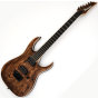 Ibanez RGAIX6U-ABS RG Iron Label Series Electric Guitar in Antique Brown Stained, RGAIX6UABS