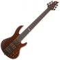 ESP LTD D-6 Bass in Natural Stain B-Stock, LD6NS.B