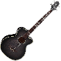 Takamine PB5 SBL Pro Series Acoustic Guitar See Thru Black B-Stock, TAKPB5SBL.B
