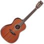 Takamine GY11ME NS New Yorker Acoustic Electric Guitar Natural Satin, TAKGY11MENS