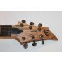 ESP LTD FX-400 Spalted Maple Sample/Prototype Electric Guitar, LFX400SMNS