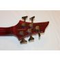 ESP LTD B-305 Flamed Maple STBC Sample/Prototype Bass Guitar, LB305FMSTBC