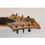 ESP LTD FX-260 Sample/Prototype Electric Guitar Spalted Maple #2, LFX260SMNS