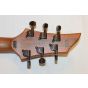 ESP LTD FX-260 Sample/Prototype Electric Guitar Spalted Maple #3, LFX260SMNS