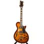 ESP LTD PC-1V Paramount Brown Sunburst Sample/Prototype, XPC1VBSB