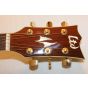 ESP LTD AC-200E Natural Sample/Prototype 2003, LAC200E