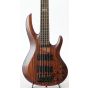 ESP LTD B-335 SBRN Stain Brown Sample/Prototype Electric Bass Guitar 0223, LB335SBRN